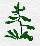 latest twitter pic7-9-14